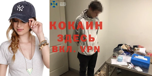 хмурый Абаза