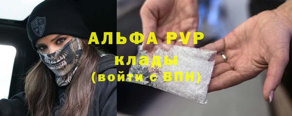 хмурый Абаза