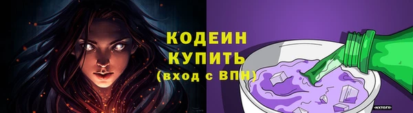 хмурый Абаза