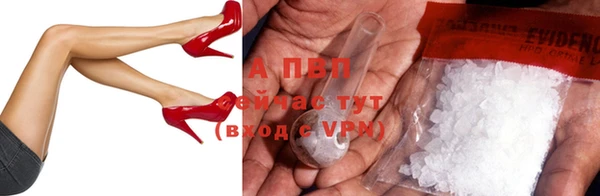 хмурый Абаза
