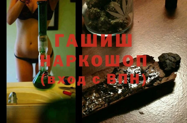 хмурый Абаза