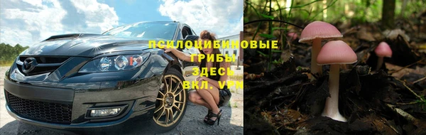 крисы Абинск