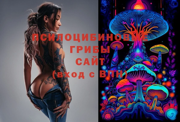 хмурый Абаза