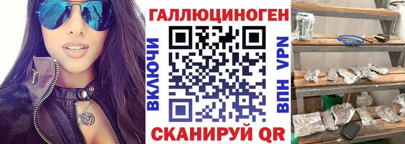 Галлюциногенные грибы прущие грибы  гидра tor  Сурск 