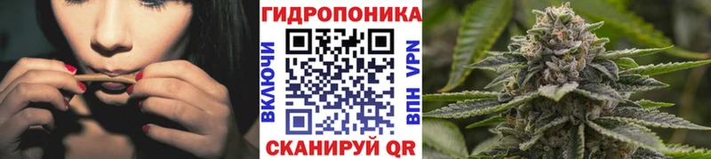 Канабис OG Kush Сурск